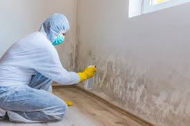 Asbestos and Lead Testing During Mold Inspection in Ravenswood, WV